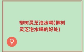 柳树灵芝泡水喝(柳树灵芝泡水喝的好处)