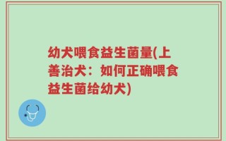 幼犬喂食益生菌量(上善治犬：如何正确喂食益生菌给幼犬)