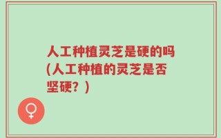 人工种植灵芝是硬的吗(人工种植的灵芝是否坚硬？)
