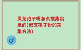 灵芝孢子粉怎么搜集出来的(灵芝孢子粉的采集方法)