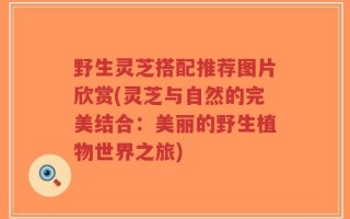 野生灵芝搭配推荐图片欣赏(灵芝与自然的完美结合：美丽的野生植物世界之旅)