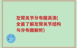 左臂关节分布图高清(全面了解左臂关节结构与分布图解析)