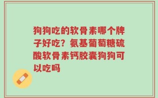 狗狗吃的软骨素哪个牌子好吃？氨基葡萄糖硫酸软骨素钙胶囊狗狗可以吃吗