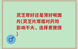 灵芝厚好还是薄好呢图片(灵芝片厚度对药效影响不大，选择更便捷)