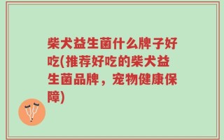 柴犬益生菌什么牌子好吃(推荐好吃的柴犬益生菌品牌，宠物健康保障)
