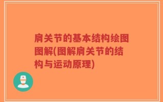 肩关节的基本结构绘图图解(图解肩关节的结构与运动原理)