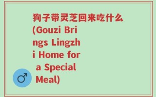 狗子带灵芝回来吃什么(Gouzi Brings Lingzhi Home for a Special Meal)