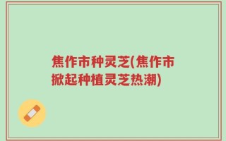 焦作市种灵芝(焦作市掀起种植灵芝热潮)