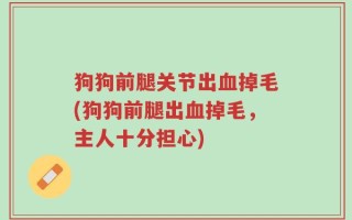 狗狗前腿关节出血掉毛(狗狗前腿出血掉毛，主人十分担心)