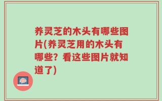 养灵芝的木头有哪些图片(养灵芝用的木头有哪些？看这些图片就知道了)