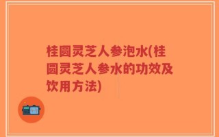 桂圆灵芝人参泡水(桂圆灵芝人参水的功效及饮用方法)