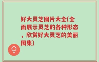 好大灵芝图片大全(全面展示灵芝的各种形态，欣赏好大灵芝的美丽图集)