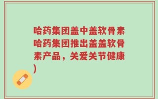哈药集团盖中盖软骨素哈药集团推出盖盖软骨素产品，关爱关节健康)
