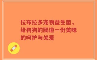 拉布拉多宠物益生菌，给狗狗的肠道一份美味的呵护与关爱