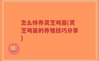 怎么样养灵芝鸡苗(灵芝鸡苗的养殖技巧分享)