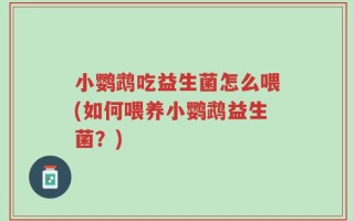 小鹦鹉吃益生菌怎么喂(如何喂养小鹦鹉益生菌？)