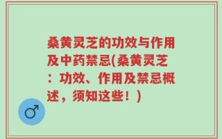 桑黄灵芝的功效与作用及中药禁忌(桑黄灵芝：功效、作用及禁忌概述，须知这些！)