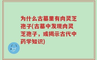 为什么古墓里有肉灵芝孢子(古墓中发现肉灵芝孢子，或揭示古代中药学知识)