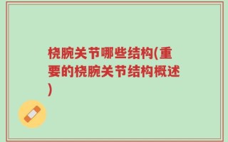 桡腕关节哪些结构(重要的桡腕关节结构概述)