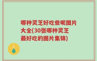 哪种灵芝好吃些呢图片大全(30张哪种灵芝最好吃的图片集锦)
