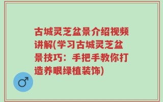 古城灵芝盆景介绍视频讲解(学习古城灵芝盆景技巧：手把手教你打造养眼绿植装饰)