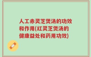 人工赤灵芝煲汤的功效和作用(红灵芝煲汤的健康益处和药用功效)