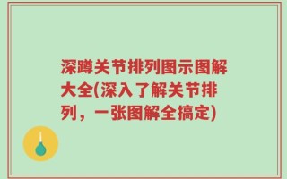 深蹲关节排列图示图解大全(深入了解关节排列，一张图解全搞定)