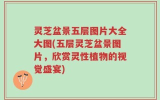 灵芝盆景五层图片大全大图(五层灵芝盆景图片，欣赏灵性植物的视觉盛宴)