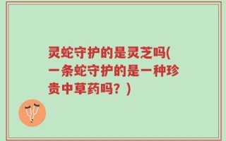灵蛇守护的是灵芝吗(一条蛇守护的是一种珍贵中草药吗？)