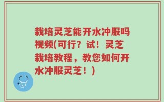 栽培灵芝能开水冲服吗视频(可行？试！灵芝栽培教程，教您如何开水冲服灵芝！)