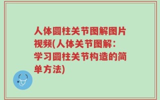 人体圆柱关节图解图片视频(人体关节图解：学习圆柱关节构造的简单方法)