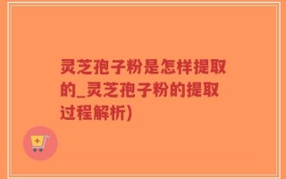 灵芝孢子粉是怎样提取的_灵芝孢子粉的提取过程解析)