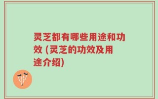 灵芝都有哪些用途和功效 (灵芝的功效及用途介绍)