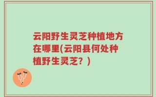 云阳野生灵芝种植地方在哪里(云阳县何处种植野生灵芝？)
