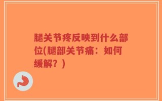腿关节疼反映到什么部位(腿部关节痛：如何缓解？)