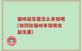猫咪益生菌怎么单独喂(如何给猫咪单独喂食益生菌)