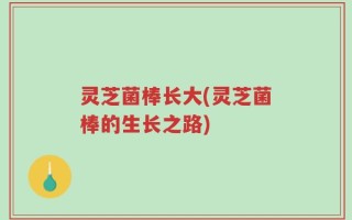 灵芝菌棒长大(灵芝菌棒的生长之路)