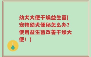 幼犬大便干燥益生菌(宠物幼犬便秘怎么办？使用益生菌改善干燥大便！)