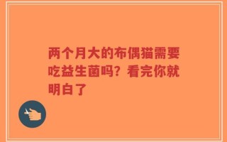 两个月大的布偶猫需要吃益生菌吗？看完你就明白了