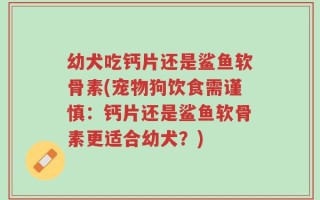 幼犬吃钙片还是鲨鱼软骨素(宠物狗饮食需谨慎：钙片还是鲨鱼软骨素更适合幼犬？)