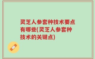 灵芝人参套种技术要点有哪些(灵芝人参套种技术的关键点)