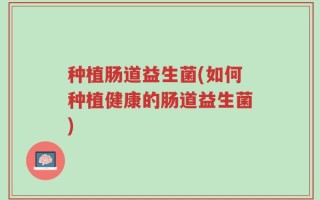 种植肠道益生菌(如何种植健康的肠道益生菌)