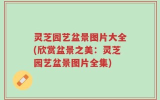灵芝园艺盆景图片大全(欣赏盆景之美：灵芝园艺盆景图片全集)