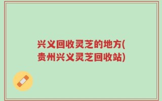 兴义回收灵芝的地方(贵州兴义灵芝回收站)
