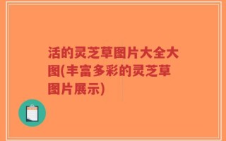活的灵芝草图片大全大图(丰富多彩的灵芝草图片展示)