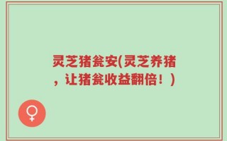 灵芝猪瓮安(灵芝养猪，让猪瓮收益翻倍！)