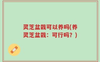 灵芝盆栽可以养吗(养灵芝盆栽：可行吗？)
