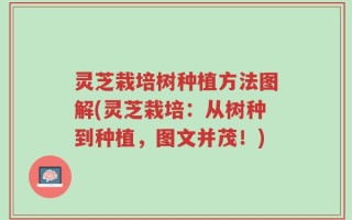 灵芝栽培树种植方法图解(灵芝栽培：从树种到种植，图文并茂！)