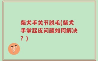 柴犬手关节脱毛(柴犬手掌起皮问题如何解决？)
