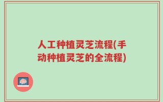 人工种植灵芝流程(手动种植灵芝的全流程)